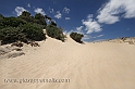 Chia (40D_11821_2rid)